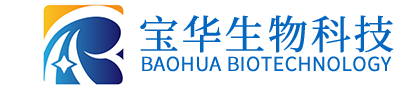 九州官方网页版